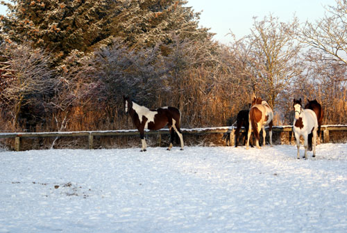 Vinter