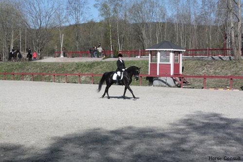 Eve og Søholm's Dick Turpin