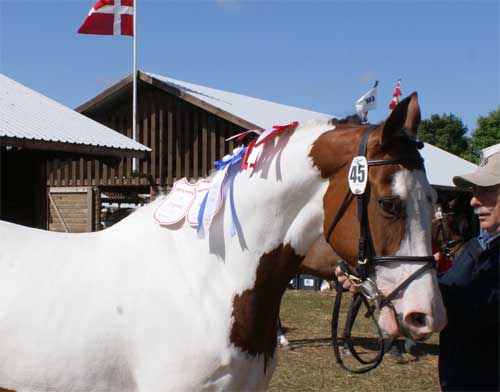 Søholm's Snowball
