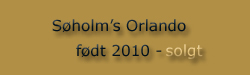 Søholm's Orlando