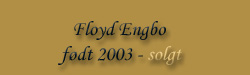 Floyd Engbo