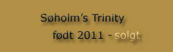 Søholm's Trinity