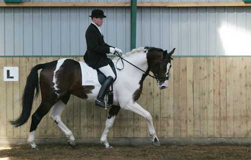 Søholm's Wyatt Earp og Jan Søgaard