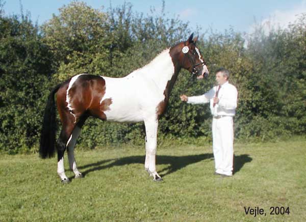 Wyat Earp i Vejle 2004